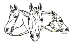 heads.gif (32181 bytes)